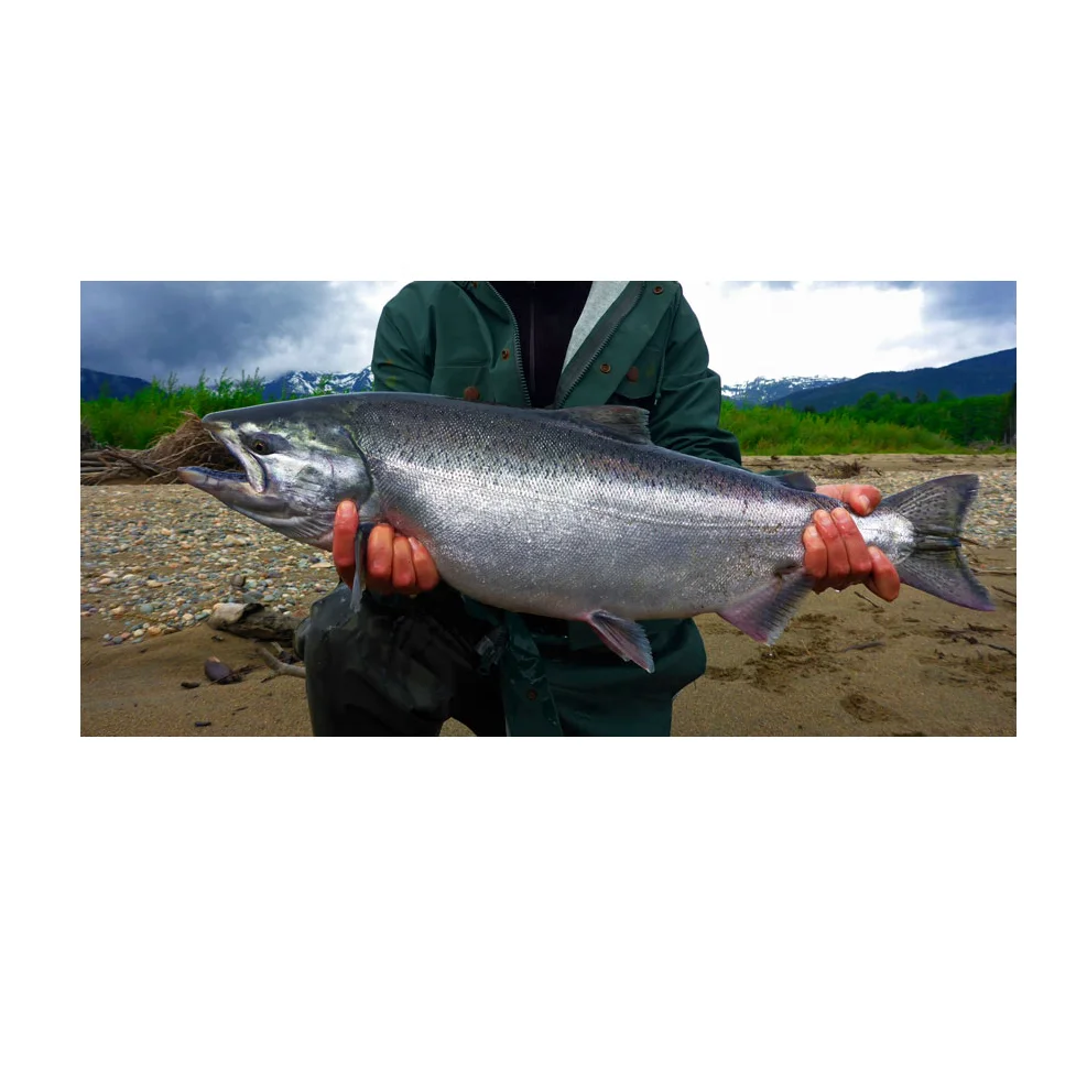 
3-6 days Fishing tour travel services 