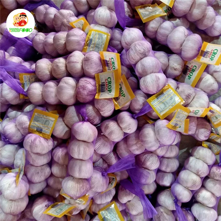  Высокое качество китайский чеснок красный вес оригинальный тип размер продукта свежий продукт модель культивирования стандартная