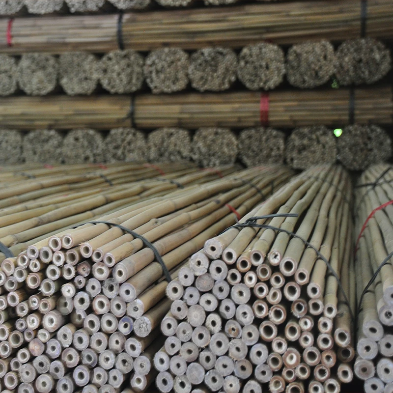 Eco-friendly High Quality Wholesale Stake Bamboo Poles bamboo sticks for plants