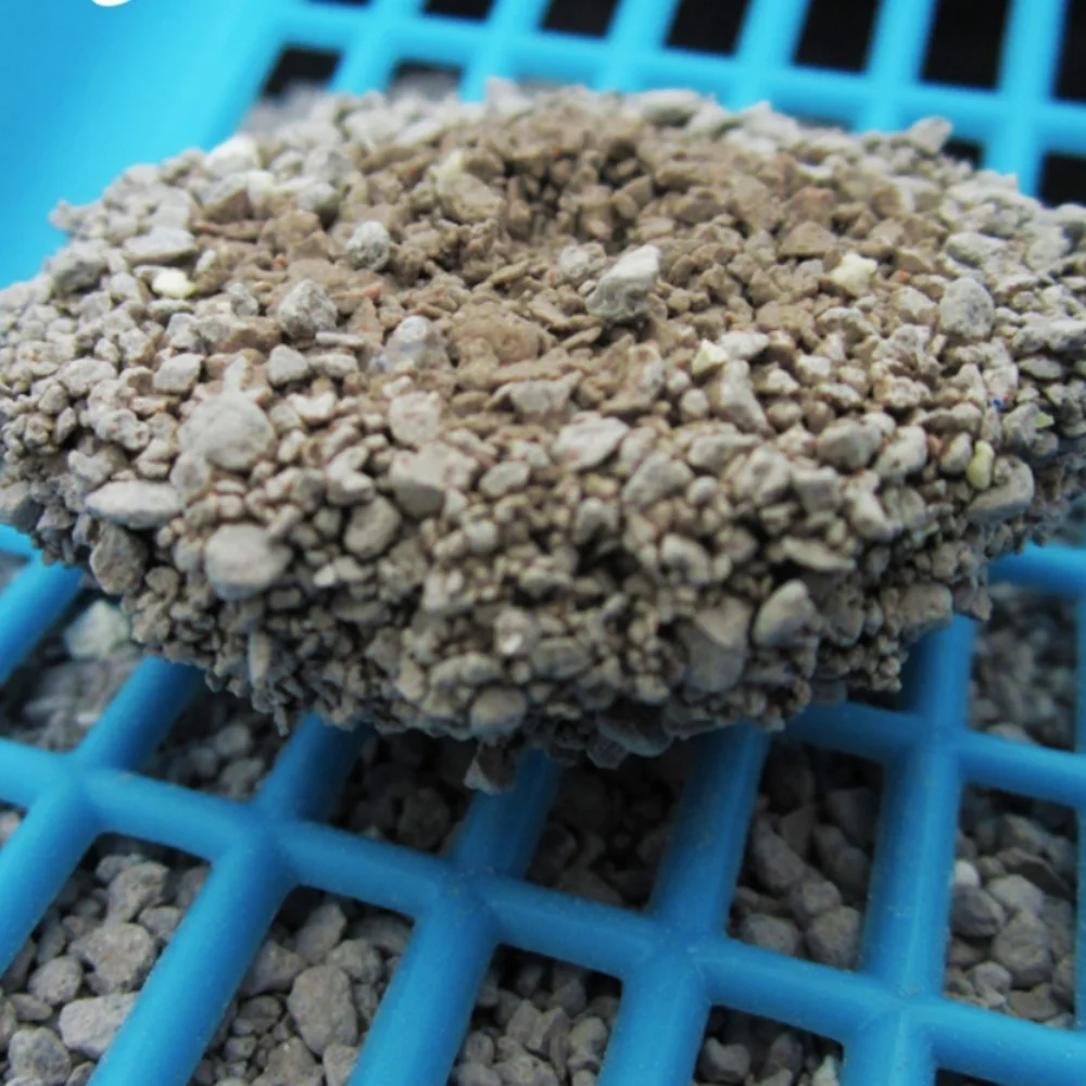 1-level Odor Control, Quick Clumping in 3s, Natural Ball Bentonite Cat Litter Sanitary Sand Making Machine for Cats 7kg/15lb