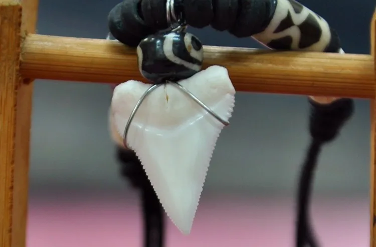 Real Shark Tooth Beads Adjustable Cord Necklace