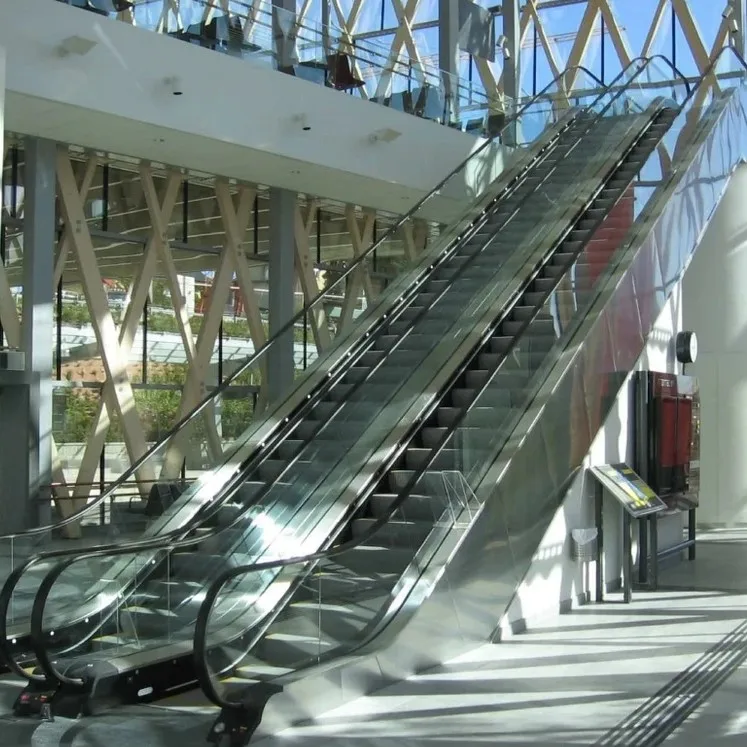Fuji Escalator Commercial Escalator Cost Indoor and Outdoor High-Quality Electric Escalator