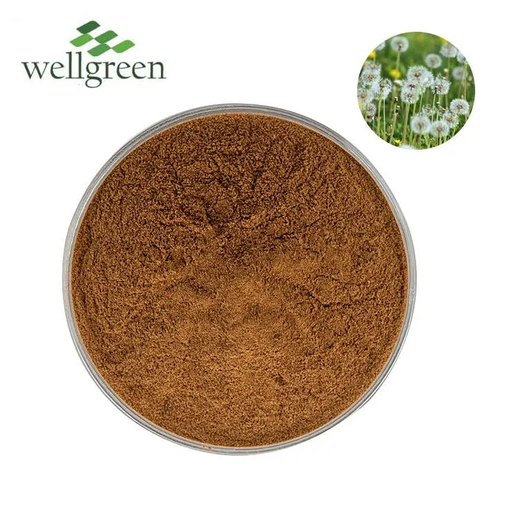 Dandelion Root Powder Plant Flowers Wholesale Dandelion Roots Herba Taraxaci P.E Dandelion Extract