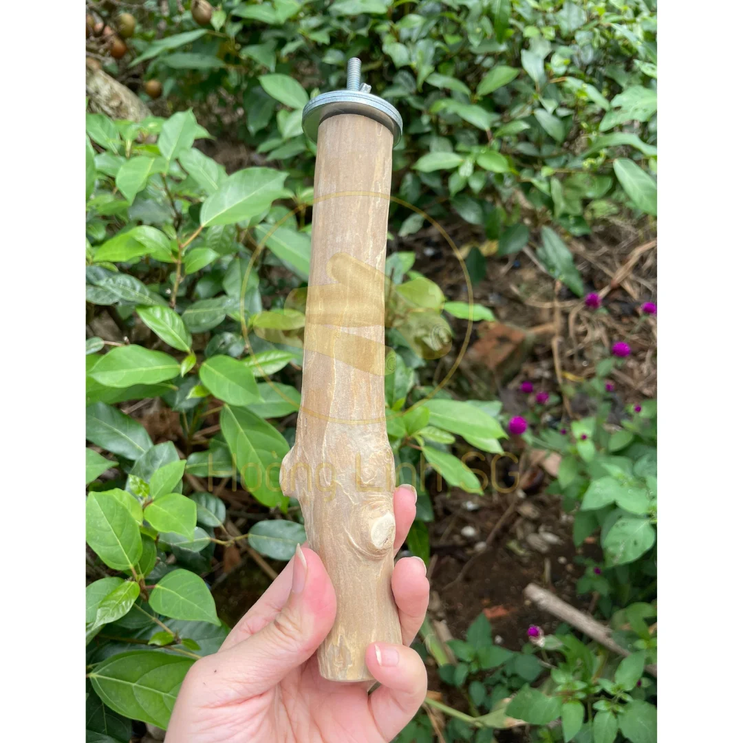 Coffee wood Bird Perches - Great product for birds  made  in Vietnam HOANG LINH SG Kimy +84938616690