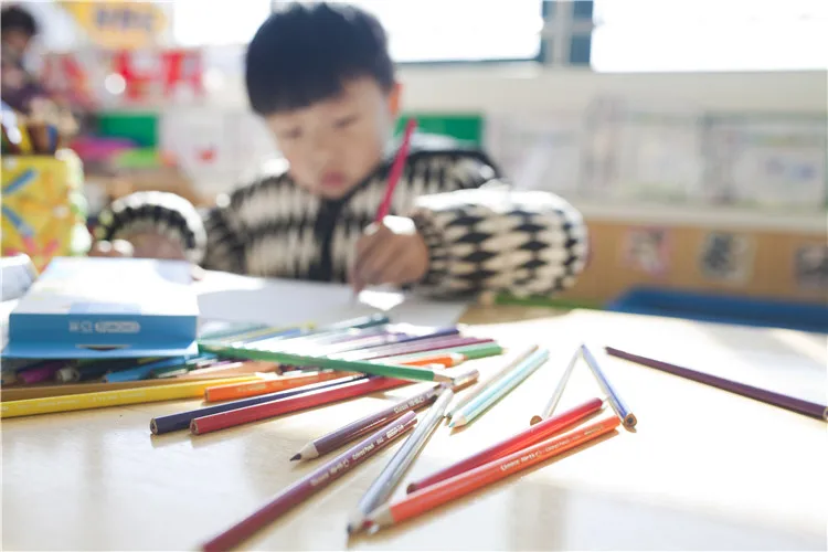 Natural end-cutted Wooden Graphite Pencils