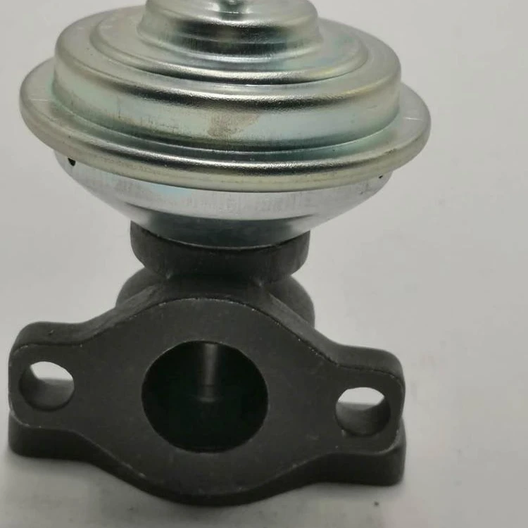 Клапан EGR высокого качества для volkswagen AUI SEAT FORD OE: EG10271-12B1 7.21723.53.0 028131501E 14925