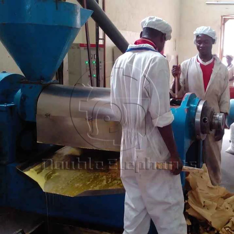 palm kernel cracker and separator machine,palm kernel expeller machine