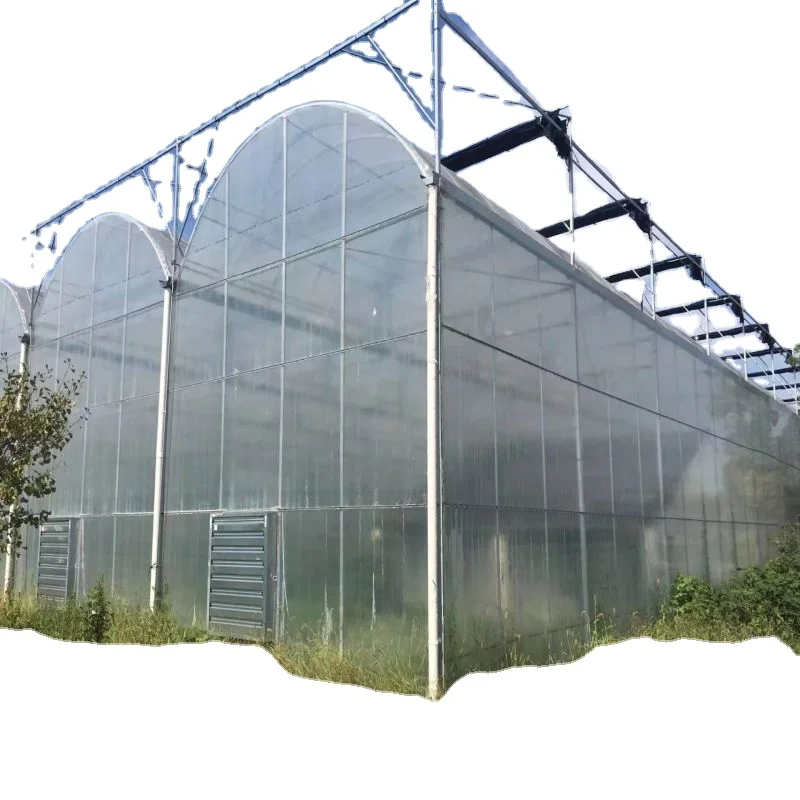 Low Cost And Easy Set Up agricultural  Greenhouses  For Gardening
