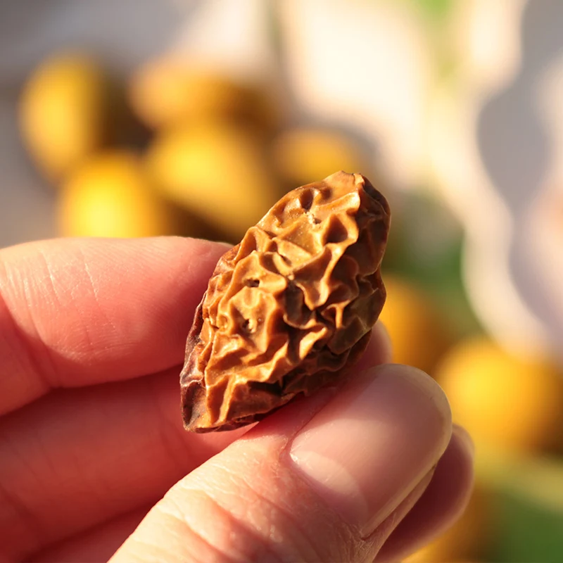 Dried Olives Baking green olive fruit for wine or tea