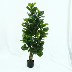 Gourd Leaves Plants Selling Bonsai Online Natural, Artificial Plant With Pots