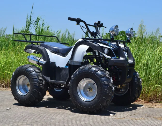 paste-pic-dp_uuid_k36mf