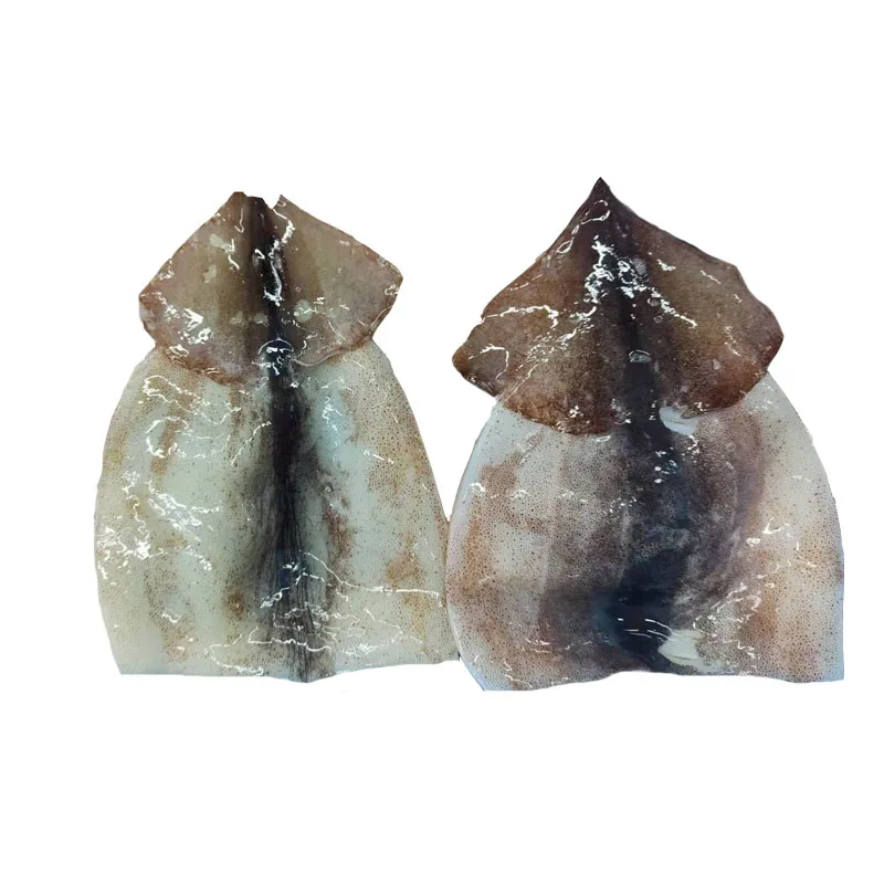 Cheap price Frozen squid fillet 100/150g, 150g+ Chinese factory manufacturing