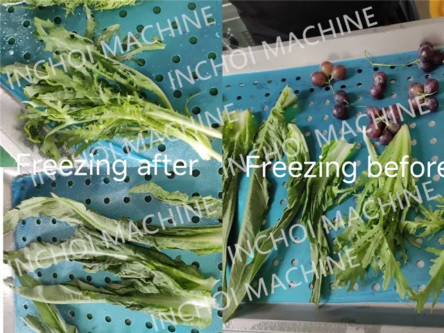 Professional Industrial iqf freezing equipment air blast freezer Individual Quick Freezing Fast Liquid Nitrogen Equipment