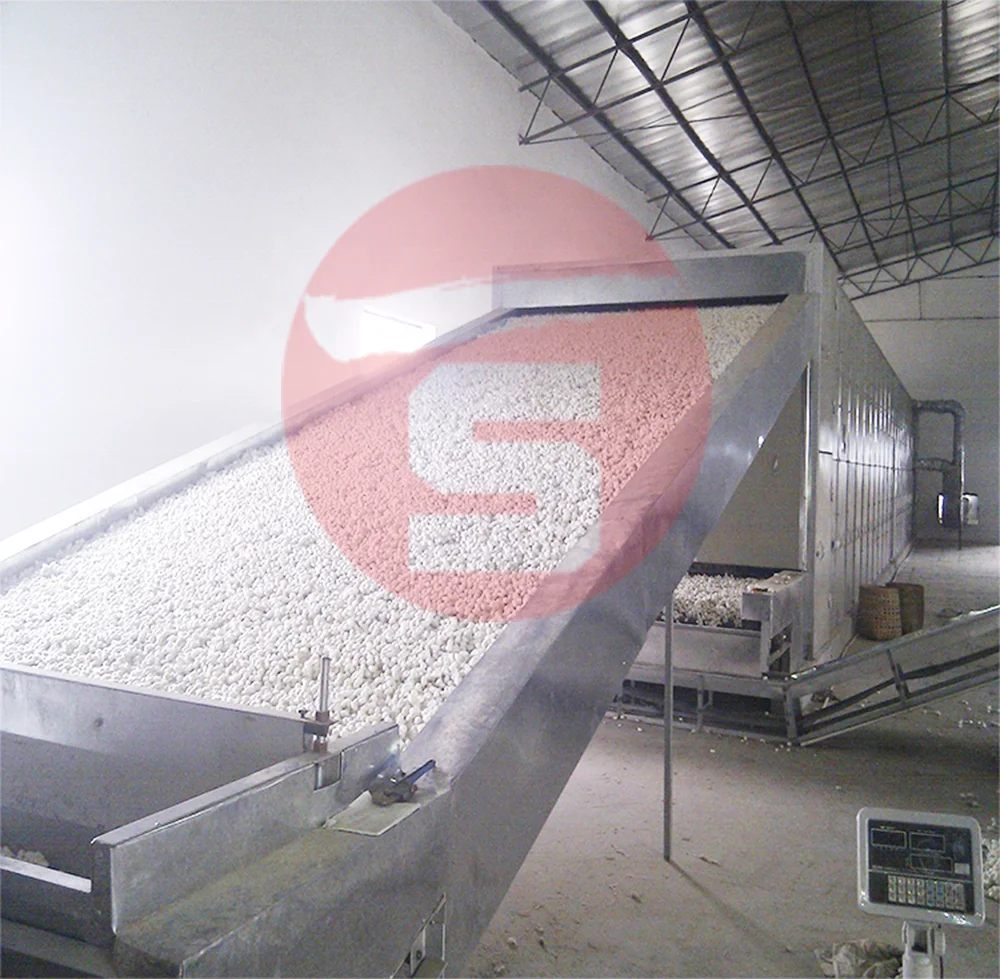 Hot Sale Silkworm Cocoon Dryer Machine Mesh Belt Drying Equipment Hot Product Energy Saving Customized