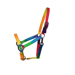 Equestrian Equipment Webbing Rainbow Horse Halter with hardware