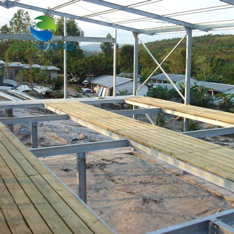 New Cattle Shed Fabrication Metal Warehouse Building Steel Structure With Design