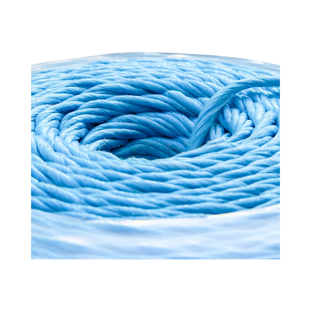 Updated Design UV-resistance Polypropylene Cord Customized Length PP Hay Baler Twine for Alfalfa Hay Packing and Binding