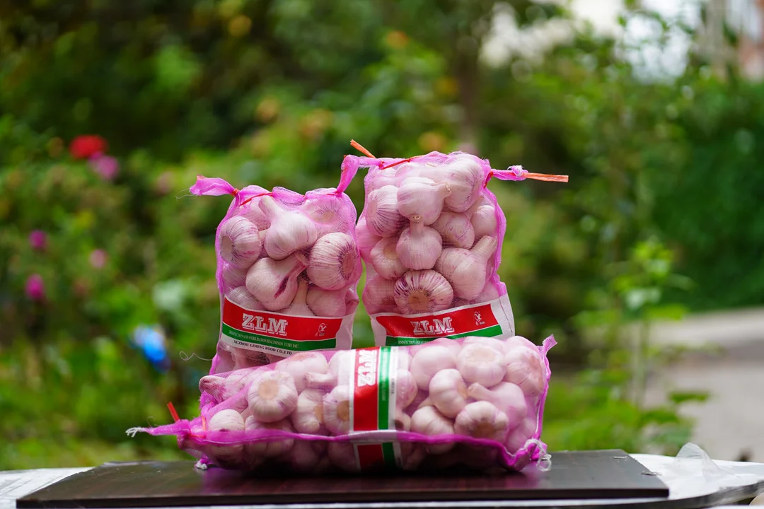 Purple White Garlic Supplier Export Good Quality Garlic