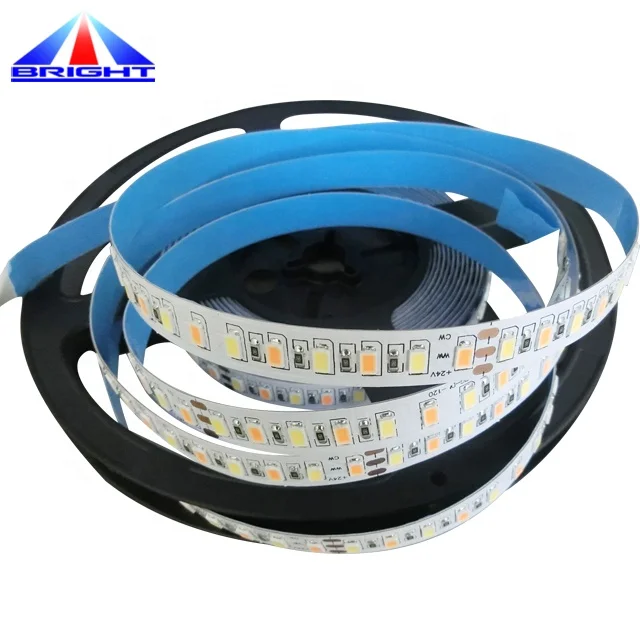 SMD5630 bicolor led strip,W+WW 24V Dual White CCT Tunable dimmable led light strip