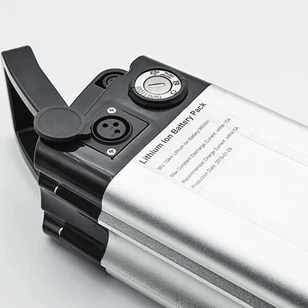 GEB  48V 36V 10Ah factory customized 24V 20Ah 15Ah silver fish electric folding modified mountain bike lithium power battery