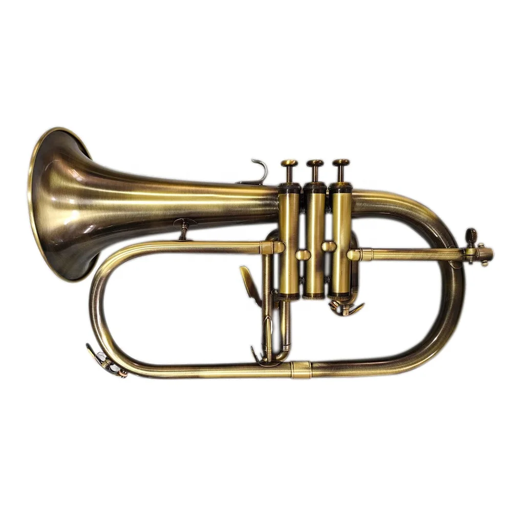  Принимаем Oem высококачественные дешевые трехпоршни Bb Gold Flugel Horn