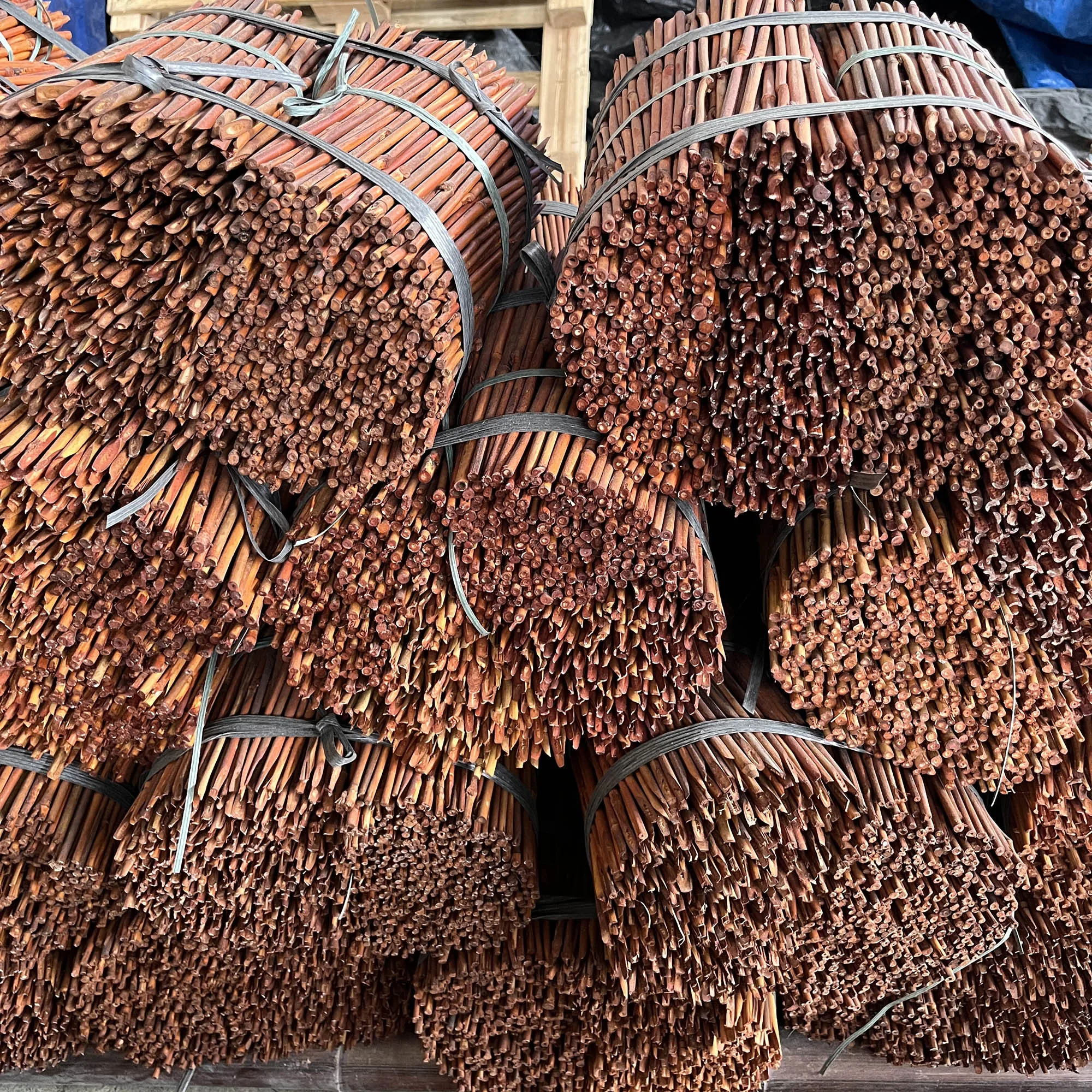 Eco-Friendly Color Dyed Tonkin Bamboo Raw Materials Stakes for Orchid