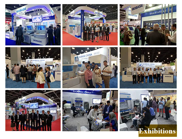 BIOBASE China -86C Freezer Medical Vaccine Refrigerator Container Cold Chain Product -86C Freezer For Sale