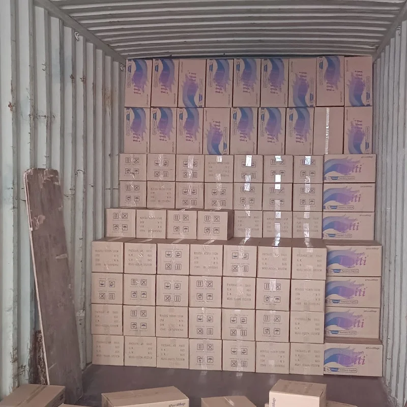 Hot Selling Disposable Super Absorbent Feel Comfortable Women Cotton Anion Sanitary Napkins