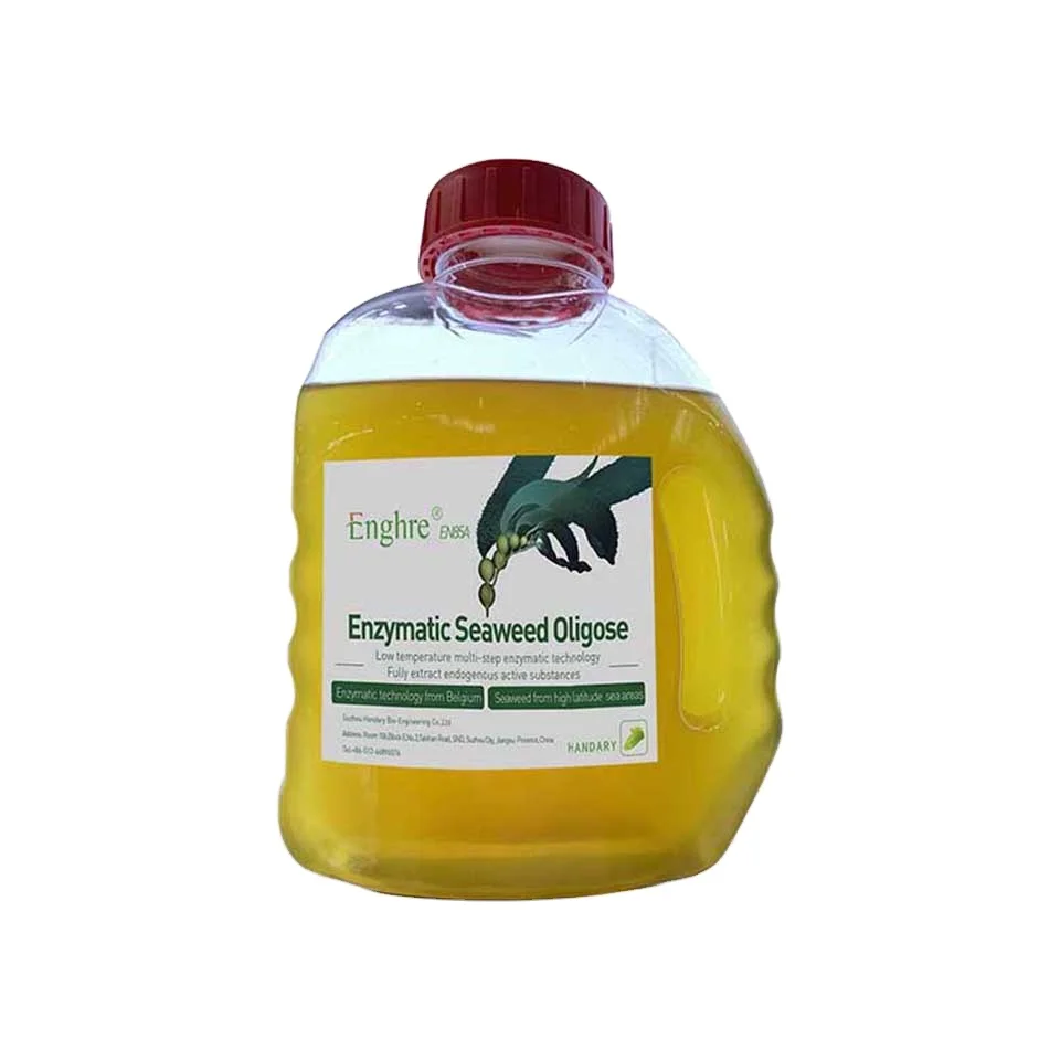 Water soluble seaweed oligosaccharide fertilizer liquid organic biostimulant