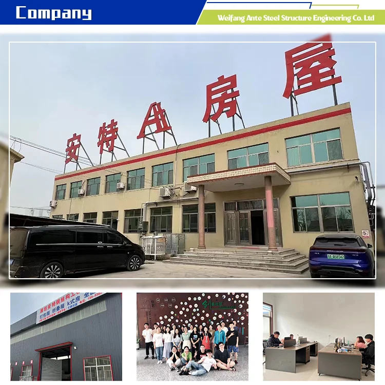 China Factory Made High Quality Hot Selling Customized Demountable Living Prefabricated Flat Pack Container House