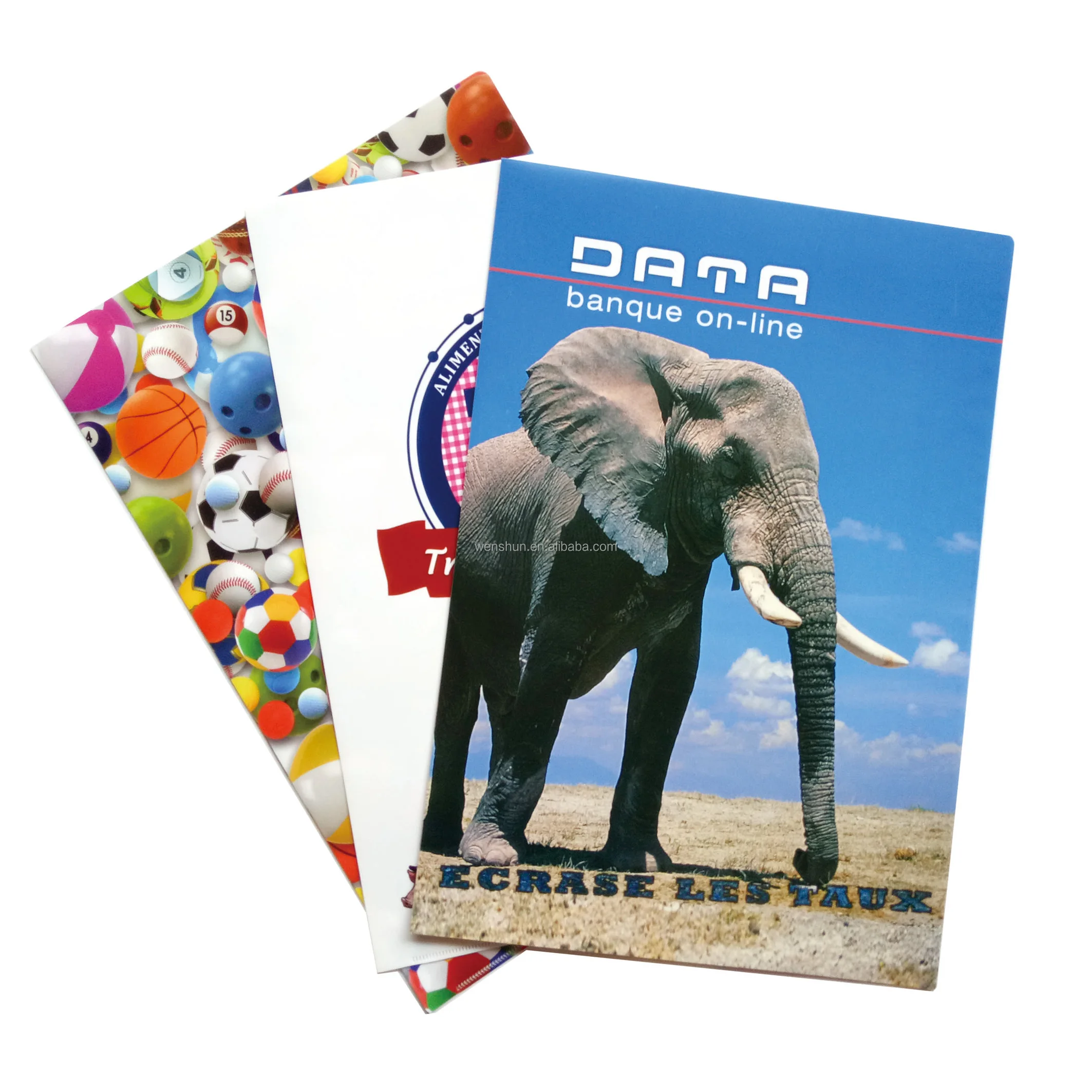 Newest Design Top Grade Custom Printing L Shape File Folder with Back Pocket