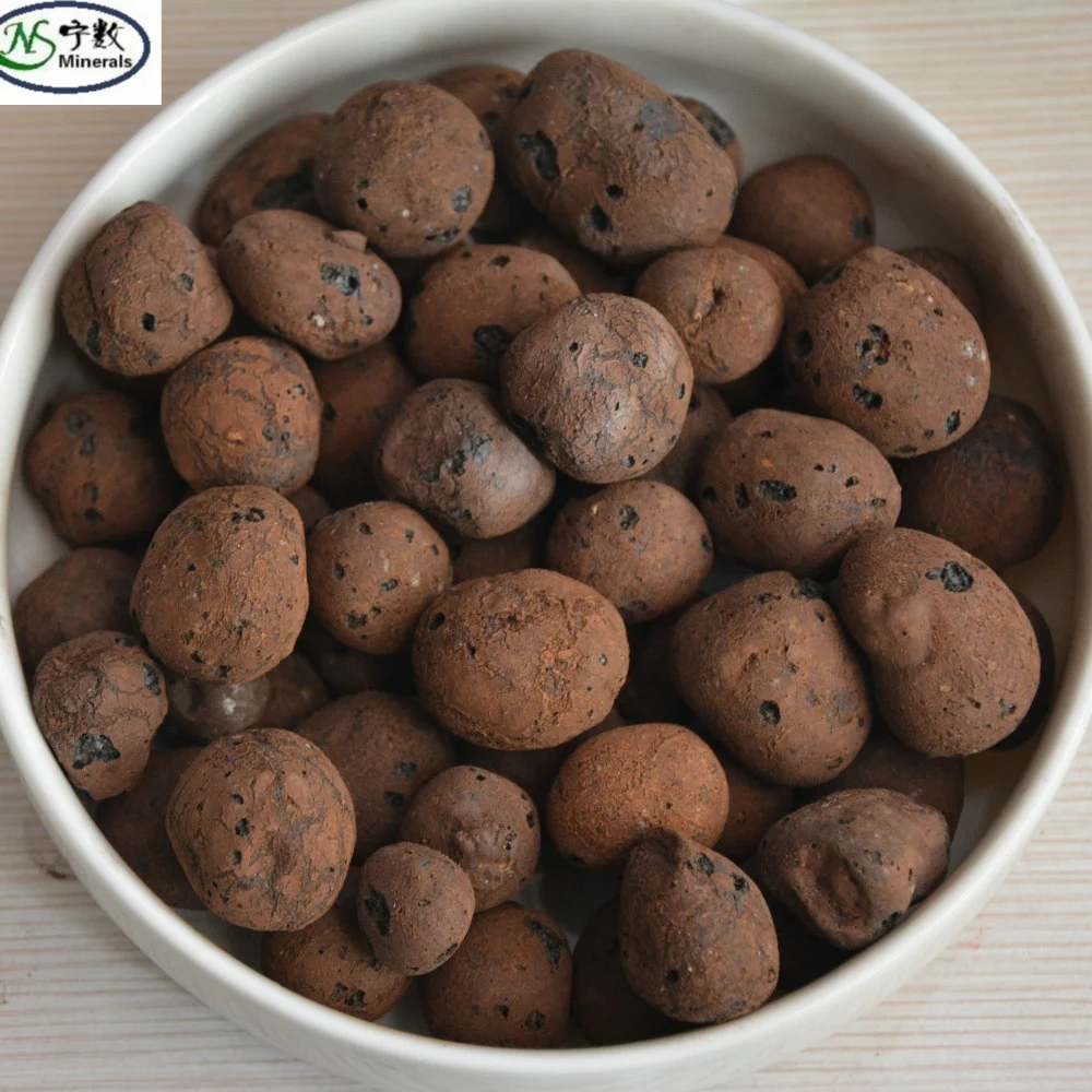 Hydrotonic Expanded Clay Pellets for Malaysia Hydroponic Garden