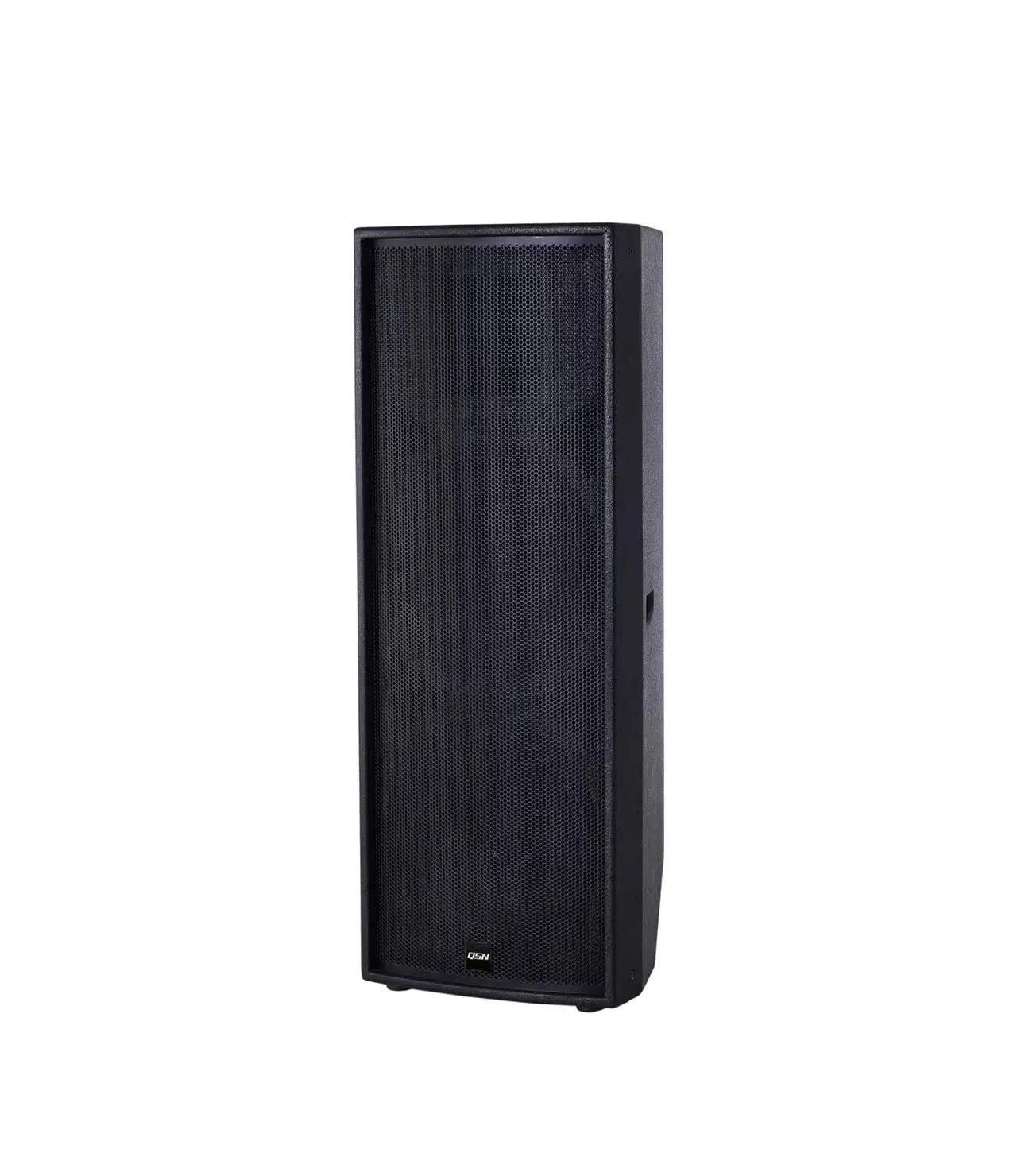 DS12 professional speaker