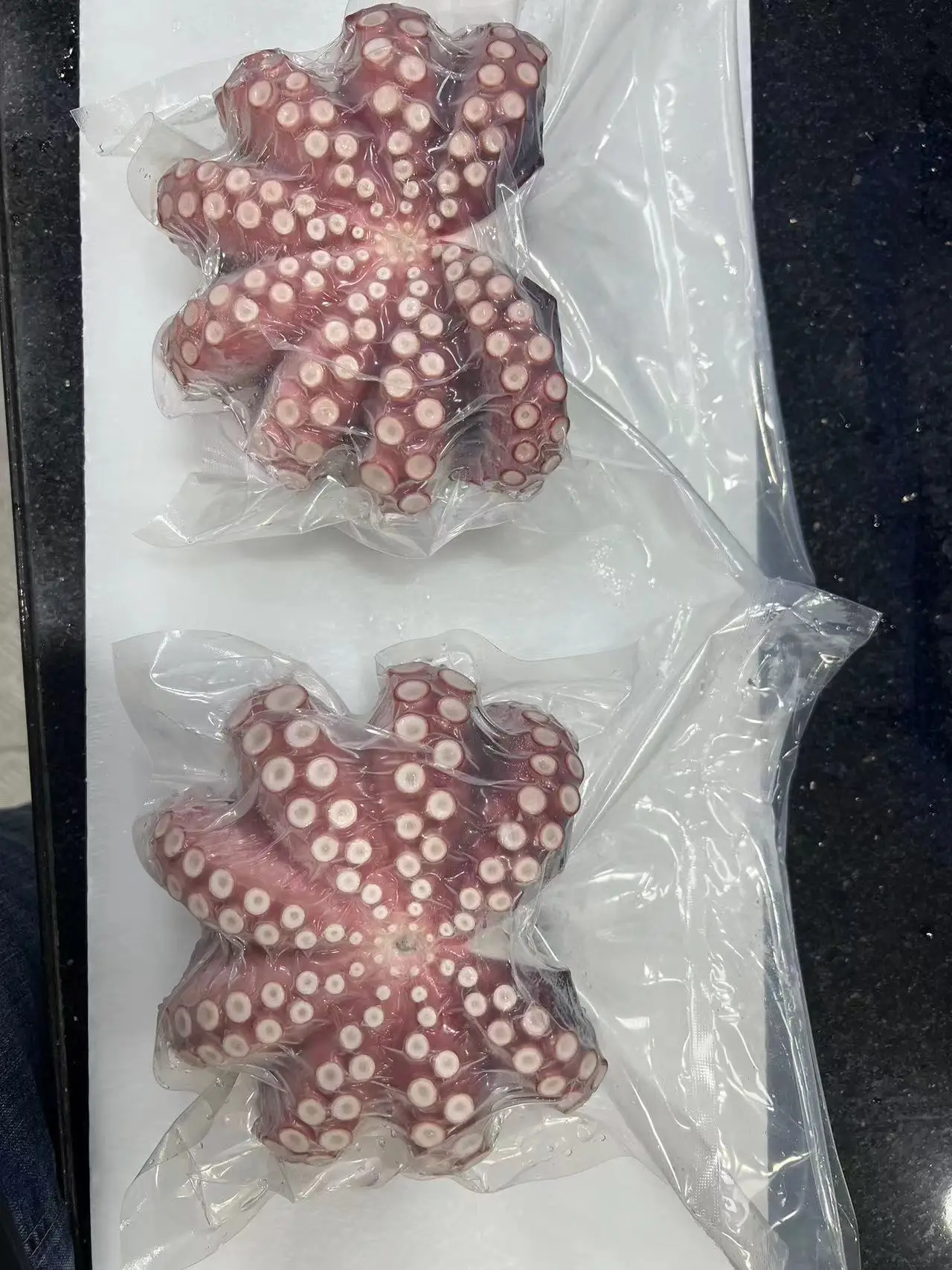 Frozen cooked  octopus WR IQF Cooked Octopus WHOLE ROUND  Octopodidae