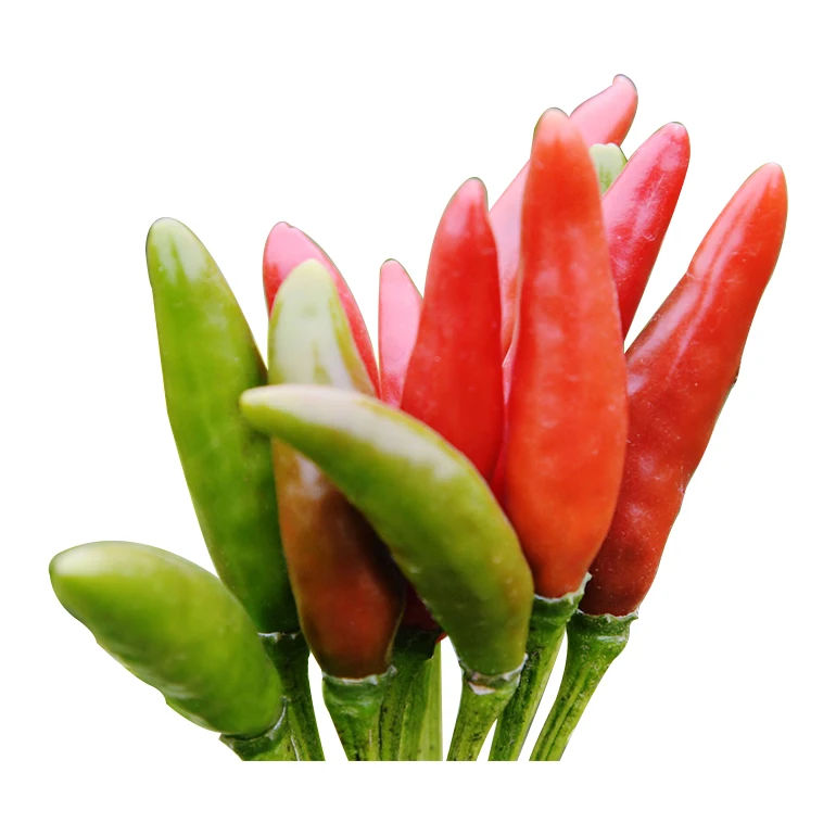 Japanese sweet red dried paprika different spiciness powder