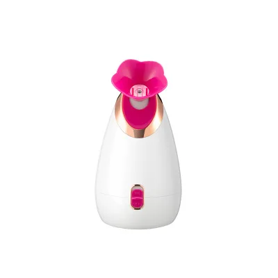 
Hot Sale Good Quality Electric Mini Facial Steamer Vaporizer From China 