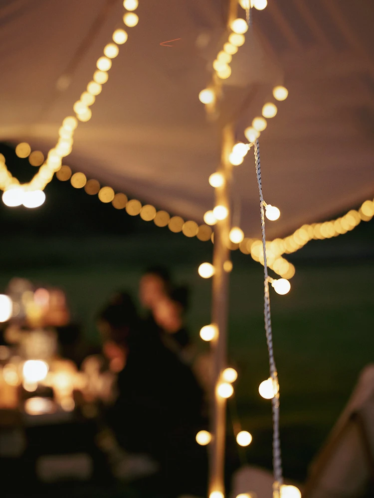 For Events Party Outdoor Awning Or Shade Canopies Canopy