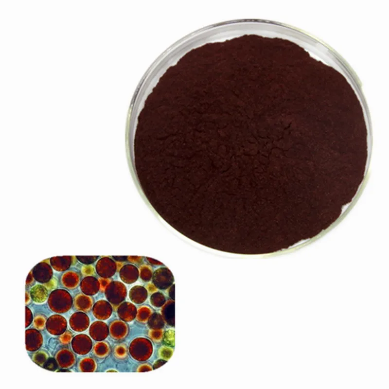 Hot Selling High Quality Antioxidant Astaxanthin