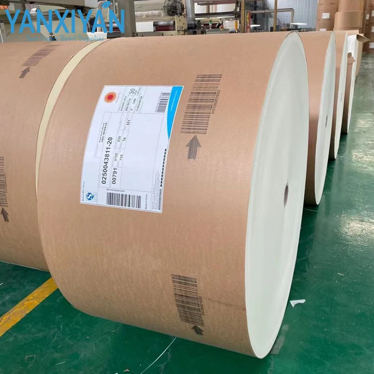 Directly Factory Food Grade pe coated craft paper roll