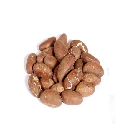 Organic Fresh Nuts Chufa Nut Green Chinese Packaging Origin Type Walnut Grade Product West African Bitter Kola Nut