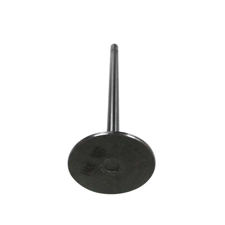 Good Quality Engine Intake Exhaust Valve OE  7701471378 For Rena ult CLIO II /KANGOO Express