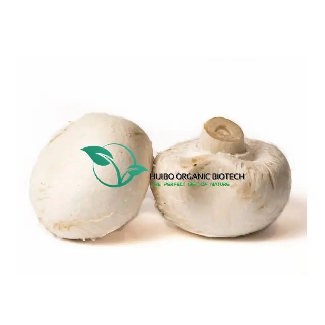 Organic shiitake mushroom /dried  Lentinus edodes whole / slices NOP EU standard