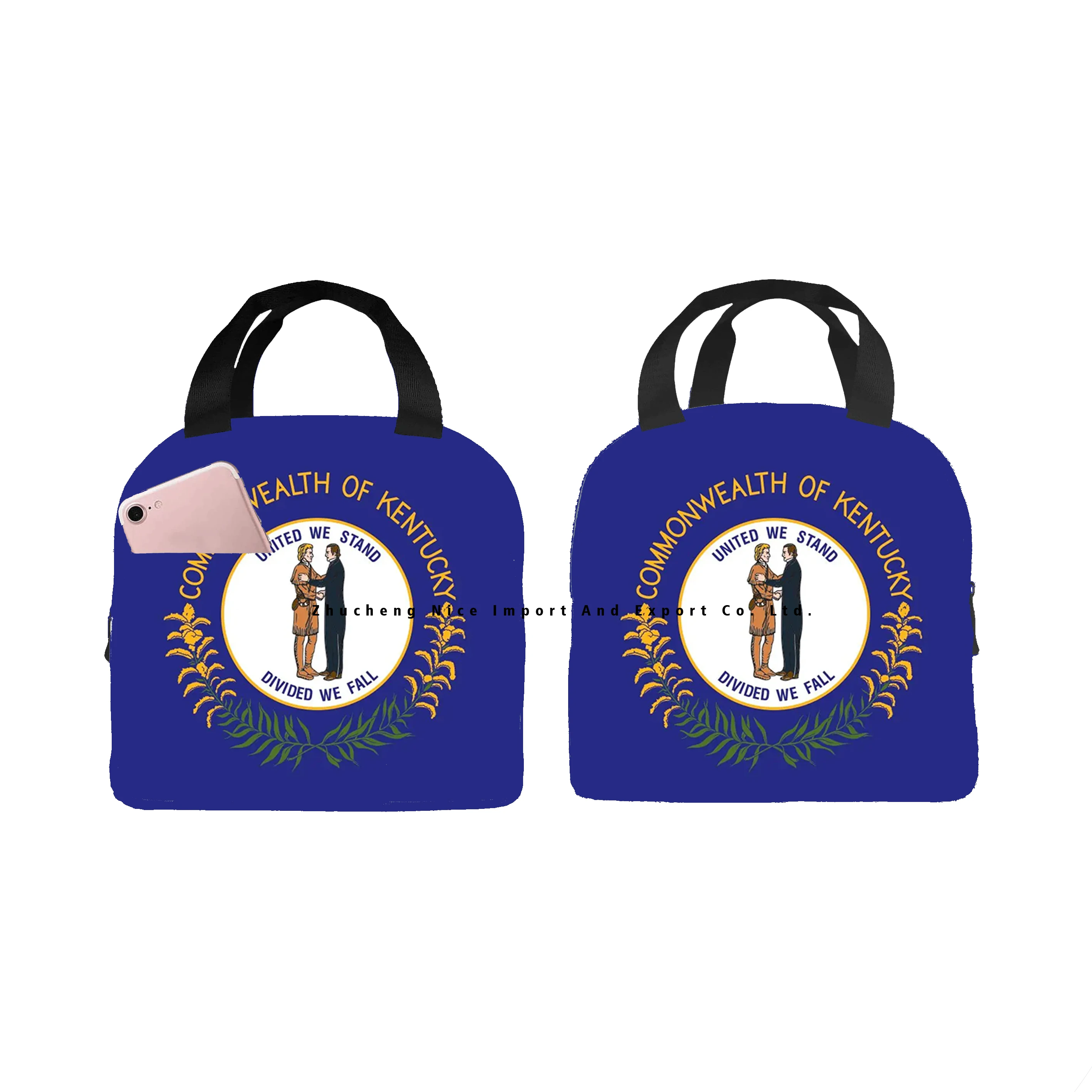 Custom America US Illinois state flag Lunch Tote Insulated Box Cooler Bag Seal Portable Thermal Insulation Aluminum Foil