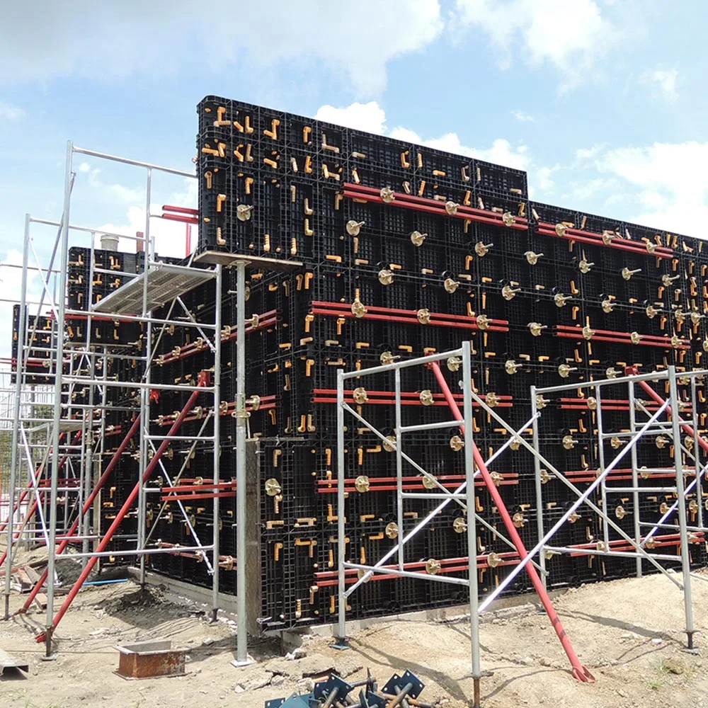 TECON многоразовые модульные формовочные пластиковые опалубочные панели TP60 для строительства