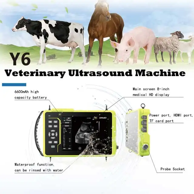 Dawei Veterinary Animal Handheld Ultrasound Scanner Price Portable Cattle Ultrasound Machine