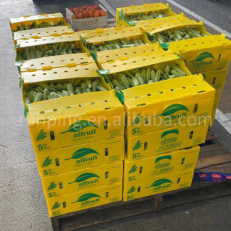 Custom Vegetable Packaging Corrugated Plastic Box Fruits And Vegetables Packaging Boxes