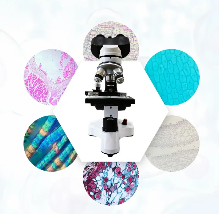 Unique products to sell Laboratory digital microscope optical biological Binocular microscope with optical parts of microscope