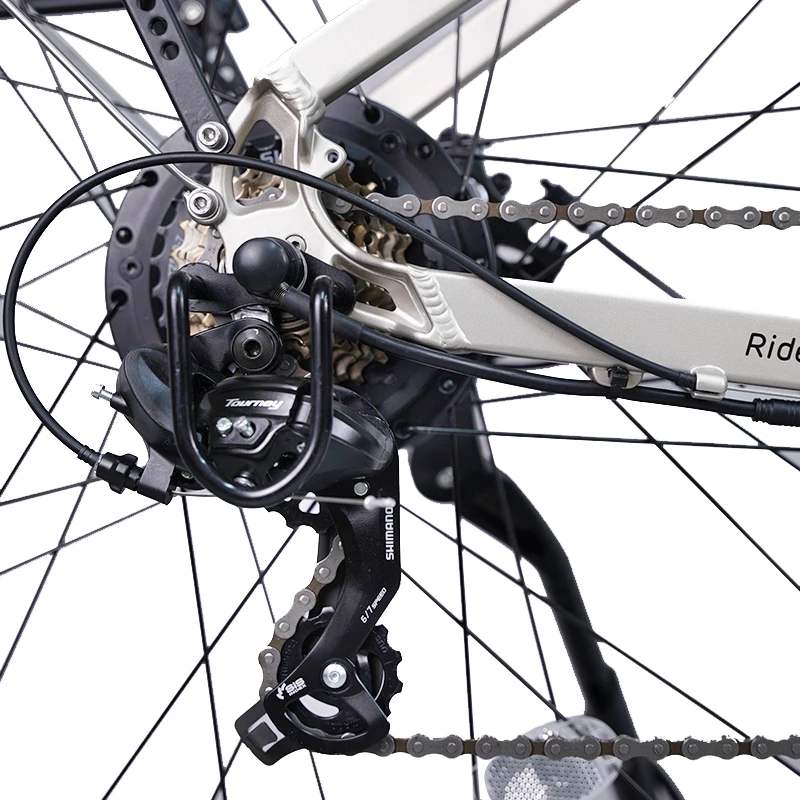 Cheap 36V 250W 10AH Lithium-ion Battery City e Bicycle Commuting e bike E Bike