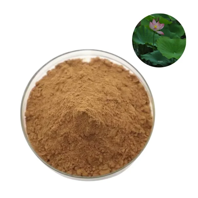 High Quality Nelumbo Nucifera Extract Lotus Leaf Extract Nuciferine