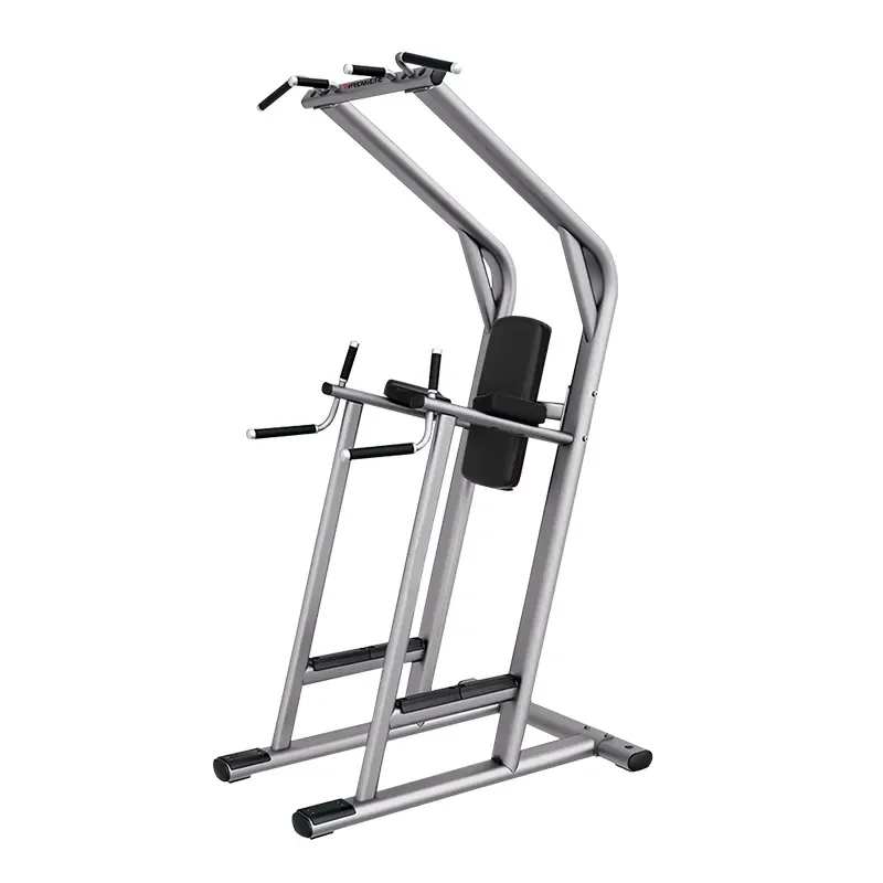 Commercial Gym Equipment Chip dip / Leg raise  Fitness Machine